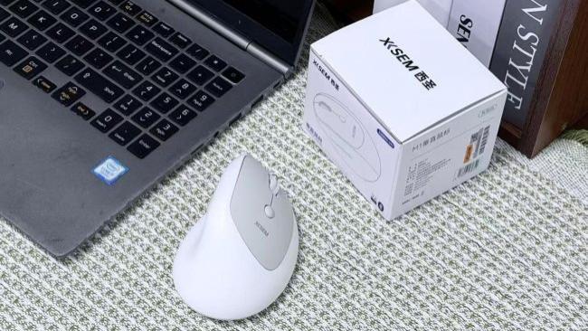 2026鼠标哪家品牌质量好？2026年立式鼠标十大品牌推荐，拯救手腕疼痛，办公新神器！