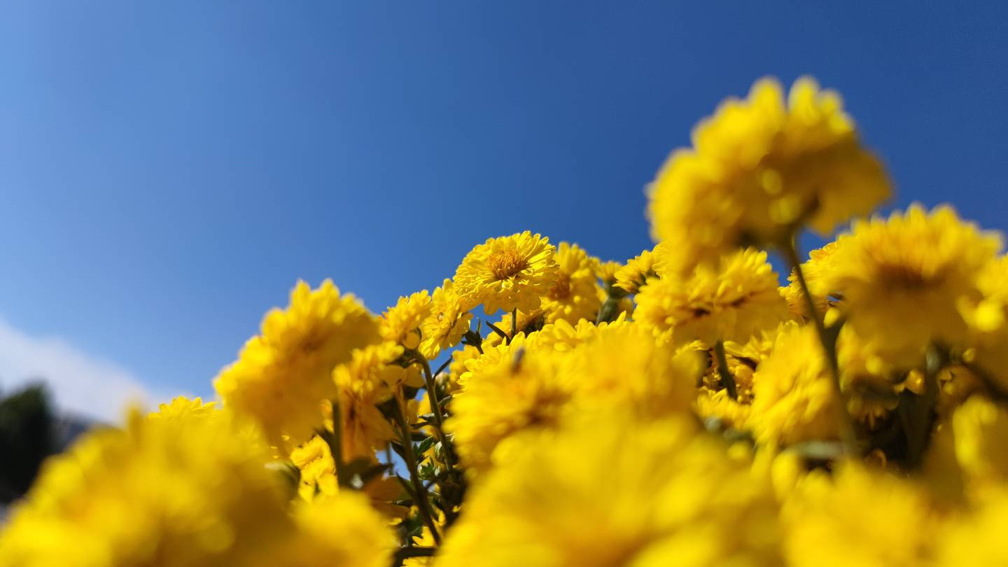 放弃月薪 2 万的工作当全职妈妈，3 年后我才懂：我的牺牲，不该是 “理所当然”