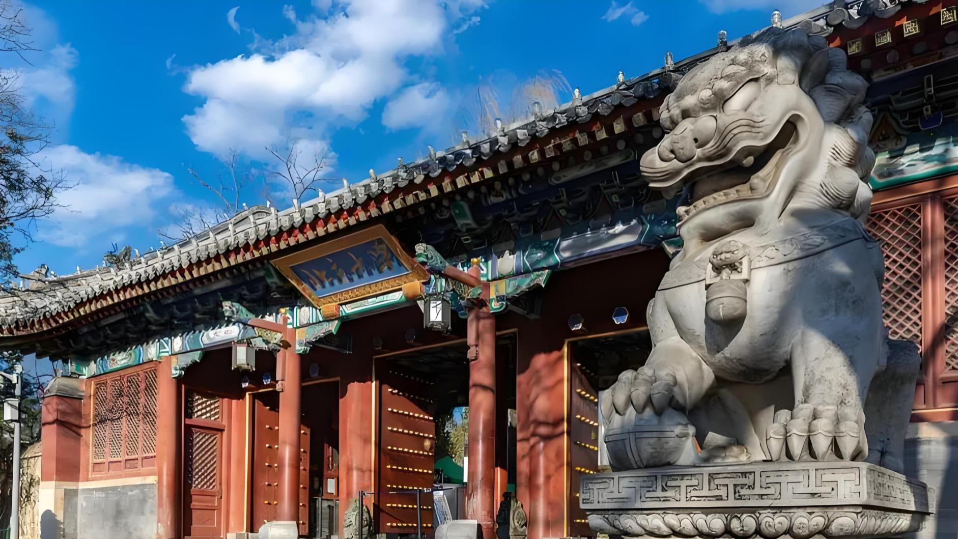 北大传佳讯！韦东奕正式成为长聘副教授，成功奥秘揭开