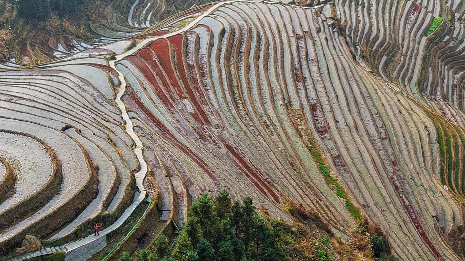 龙脊梯田平安寨是壮族祖先以山为纸、以锄为笔写下的千年史诗