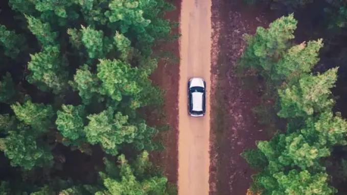 神州租车：深耕春日场景，扩容心智版图