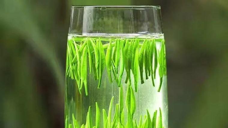 新手必学！6 大茶类如何分清，绿茶黄茶不再错