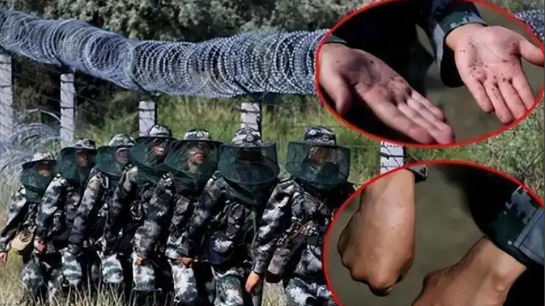中国最危险的边防区，7条军犬已被咬死，士兵睡觉都要全副武装