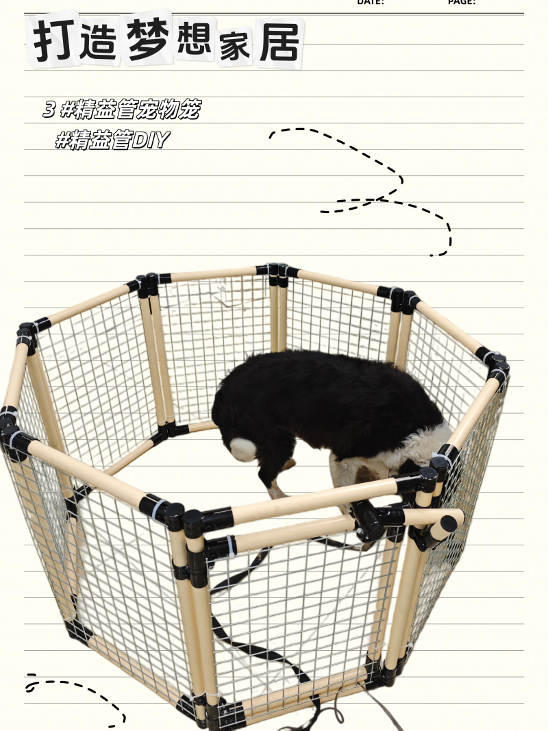 早上好！今天分享的是宠物用品~