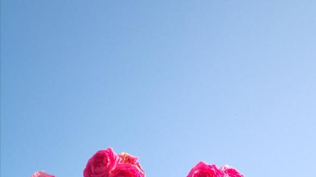 六十岁以后，夫妻之间要明白以下几个道理，万年生活才能幸福