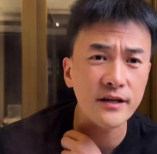 赫子铭和何洁当年的婚姻
从争议到公开互撕，再到法律程序，外界围观了很长一段时间