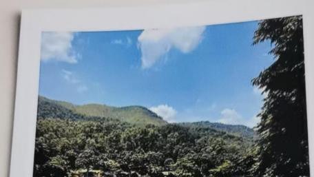 一桩持续二十余年村级信访积案的处置与基层治理观察