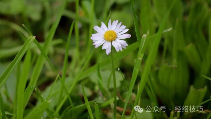 想让气血更足，就多揉这5个气血关键处