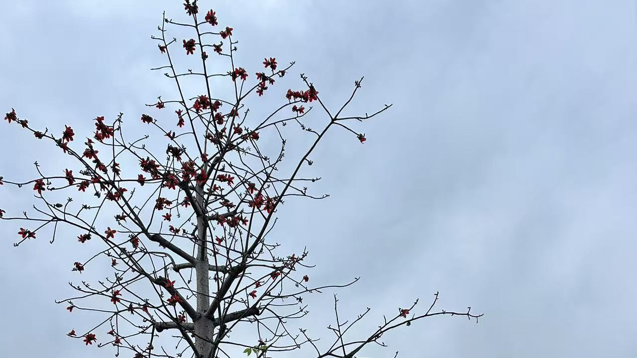 没有钱就不结婚，是错误观念