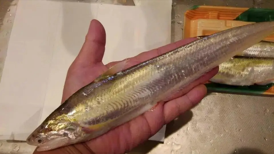 中国“最奢侈”的4大“食材”，有钱“买不到”，一般人“没见过”！