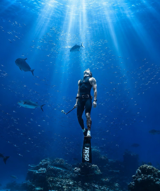 水族馆的男美人鱼竟然是吴磊