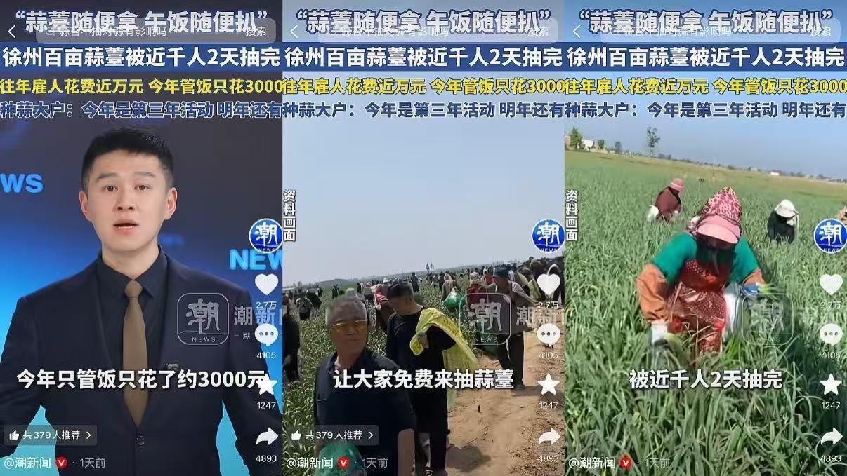 “产地一毛、城里三块”：河南蒜薹成“被倒掉的牛奶”