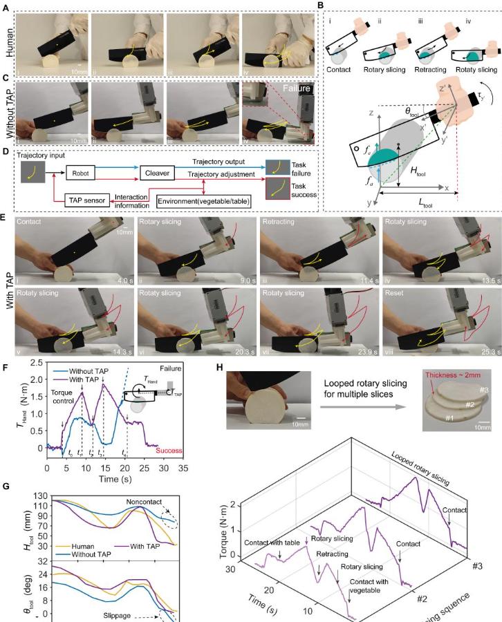 让机器人有“触觉”！西安交大科研团队联合香港科技大学取得重要进展