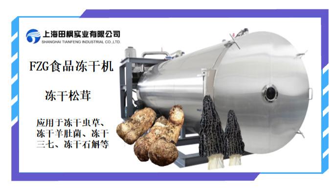 松茸冻干加工为什么适合使用冷冻干燥机