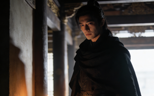 我娘被我爹亲手送进敌军军营，回来后她便疯了，但没人知道，前一夜，是我将3根银针生生摁入了她的头颅