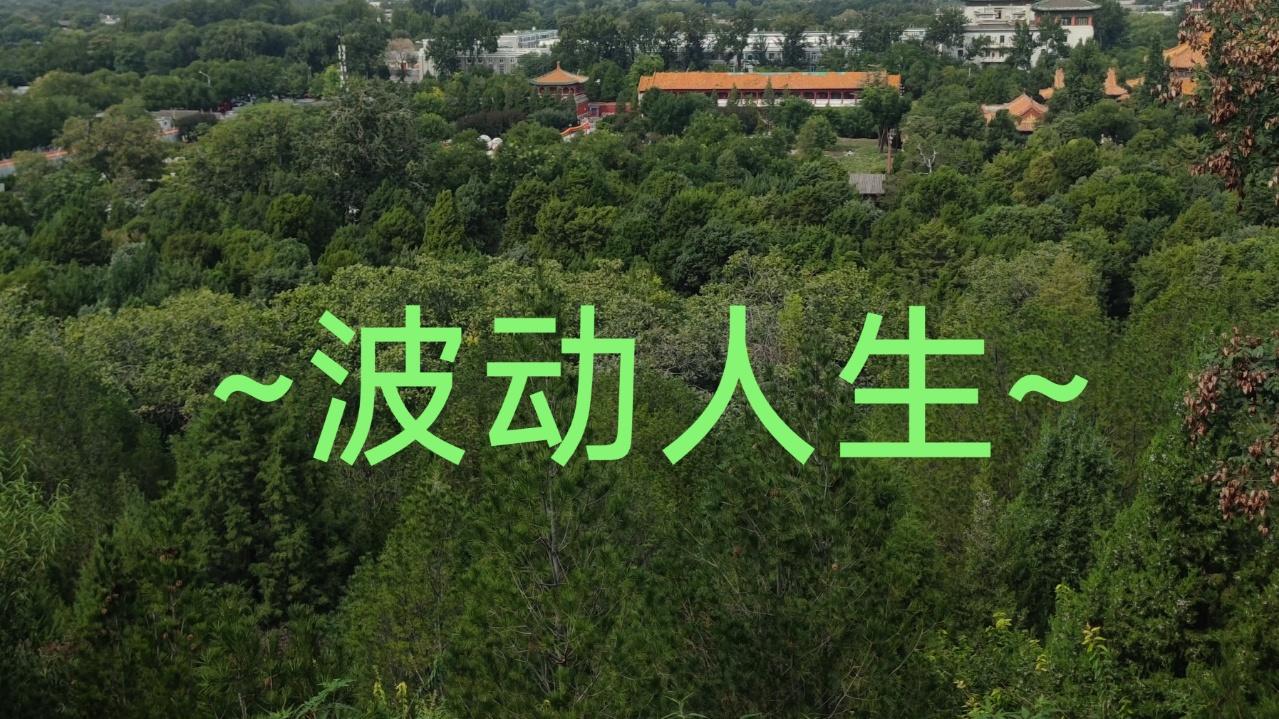 我很累，我喜欢慢节奏的生活