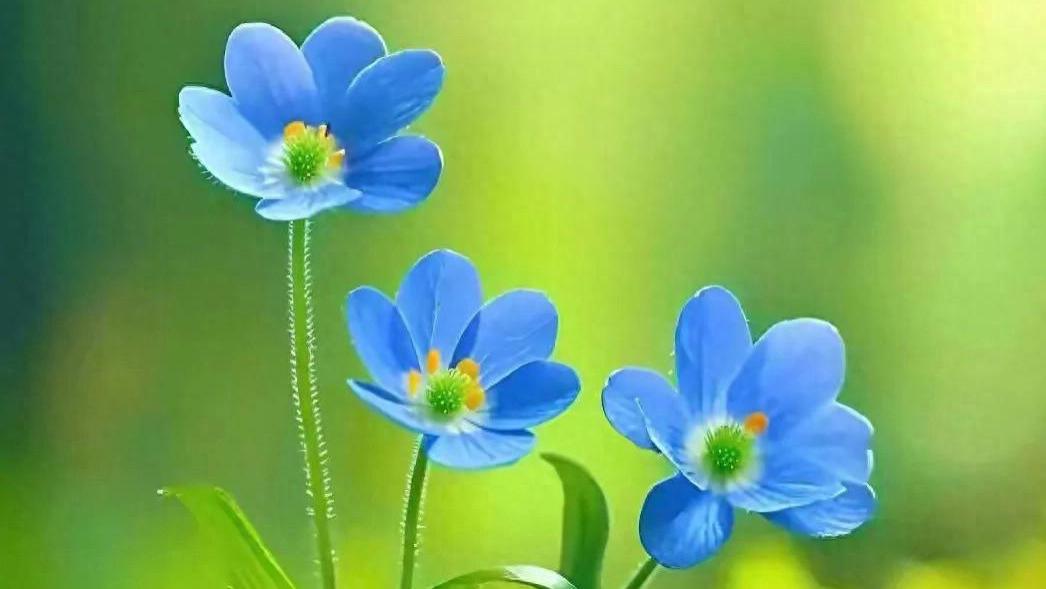 以全力以赴的热忱，永不言弃的执着，为自己想做的事，奋力深耕