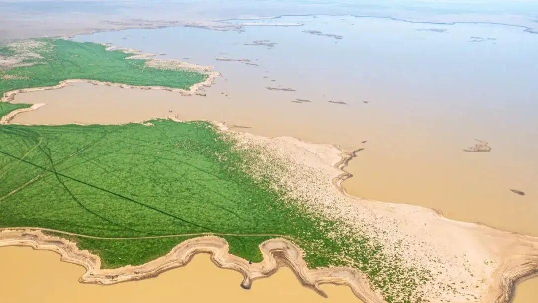 争议20多年，鄱阳湖大坝要开工！中国第一大淡水湖将迎来啥改变？从“大草原”变回“大湖”？鄱阳湖水利枢