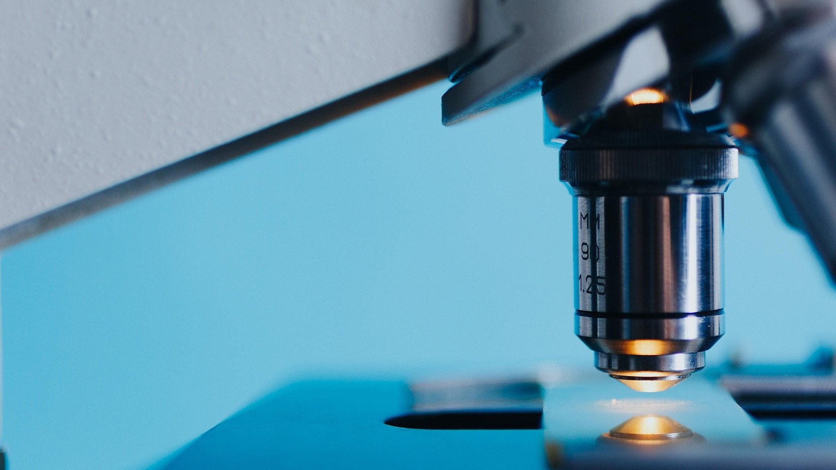 酵母双杂交技术：蛋白质相互作用研究的金标准与多领域应用革新