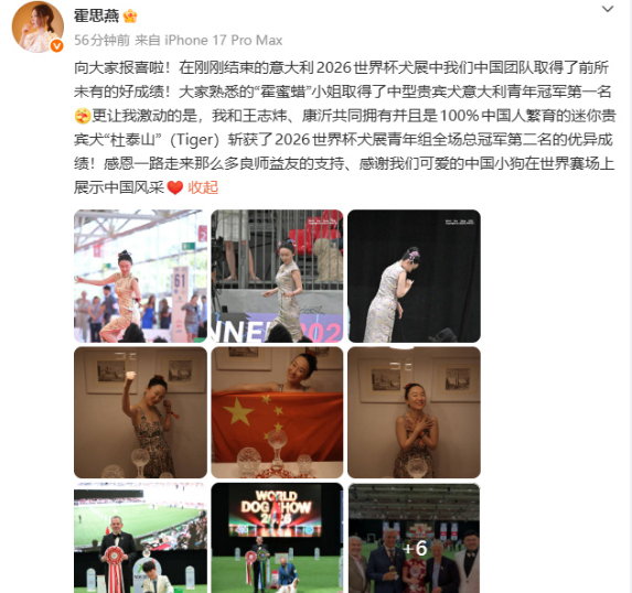 霍思燕 发文报喜：在刚刚结束的意大利2026世界杯犬展中我们中国团队取得了前所未