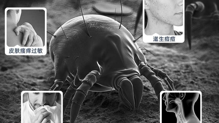 怎样选择除螨仪？什么牌子专做除螨仪？2026十款家用高口碑除螨仪！一篇帮你选到合适除螨仪！