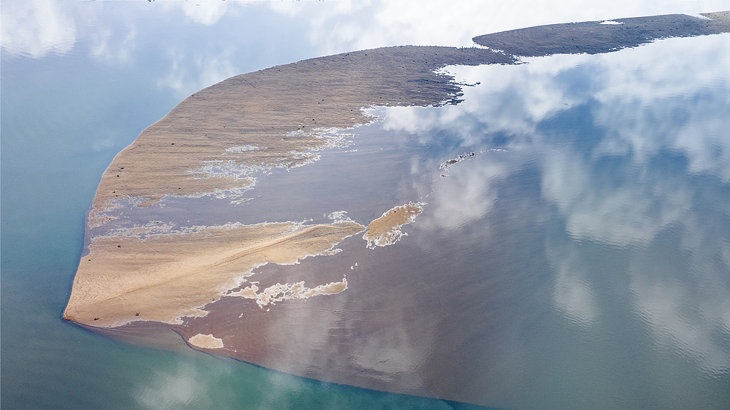 《业力管理》：每一个起心动念，都在编织未来的网