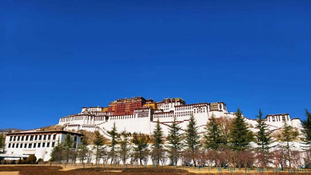 日光倾城：在拉萨，把时光过成信仰的样子丨冬季318川藏亲子自驾