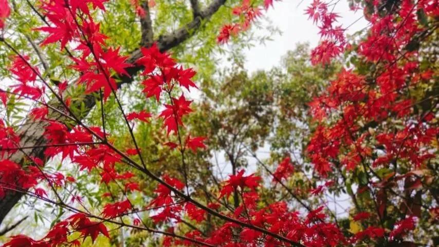 随笔：四月，想要的都在路上