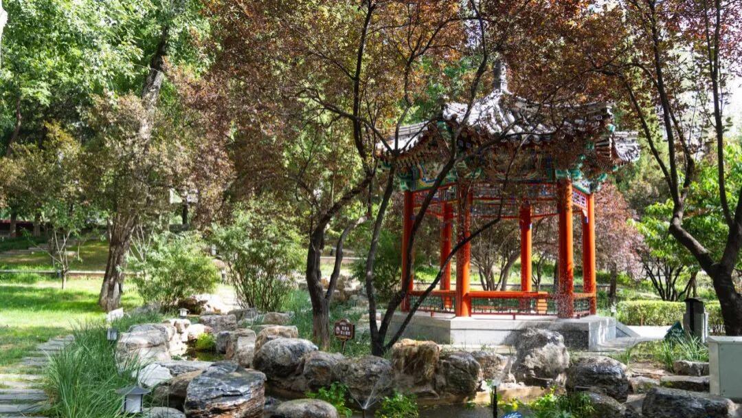 首都师范大学怎么样？这所学院用升学成绩给出答案