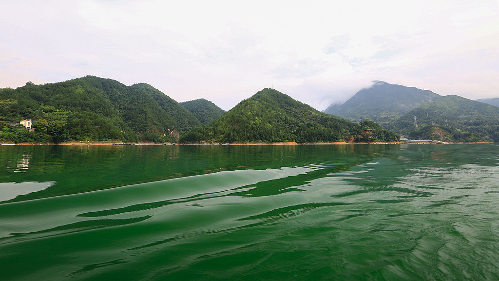 孕期被吓出冷汗的几件事，你有经历过吗？