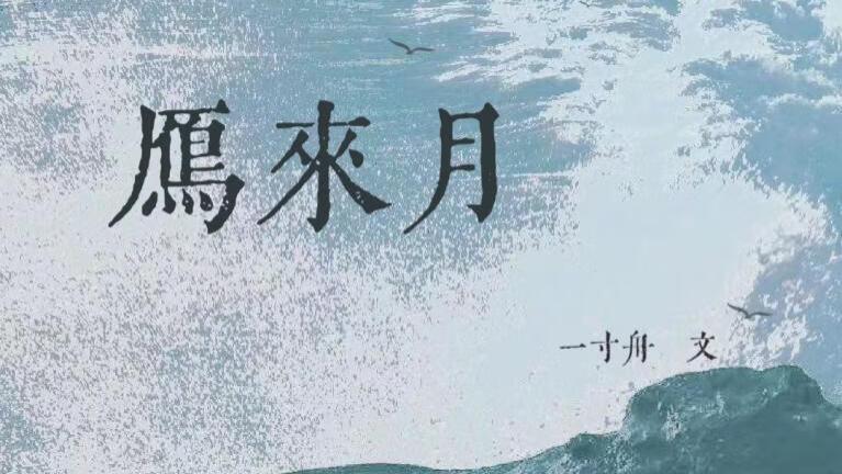 推文：强取豪夺 疯批男主  老房子着火《雁来月》
