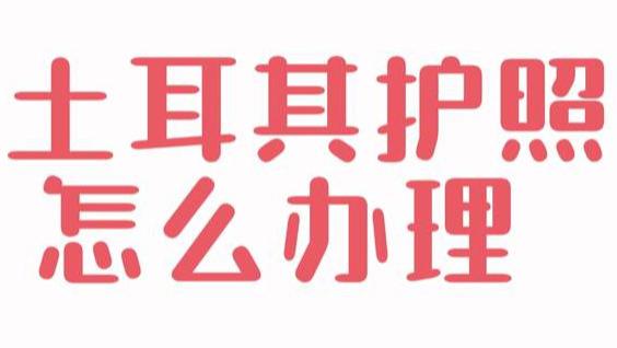 土耳其护照怎么办理 2026年申请有哪些变化