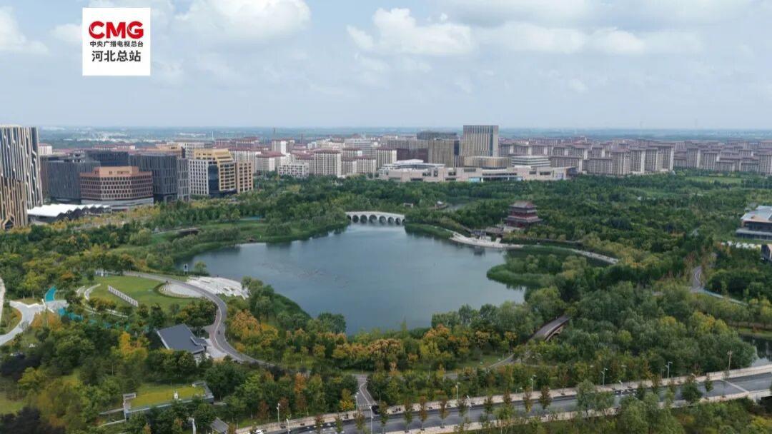 雄安新区：一张蓝图干到底，城市治理见实效