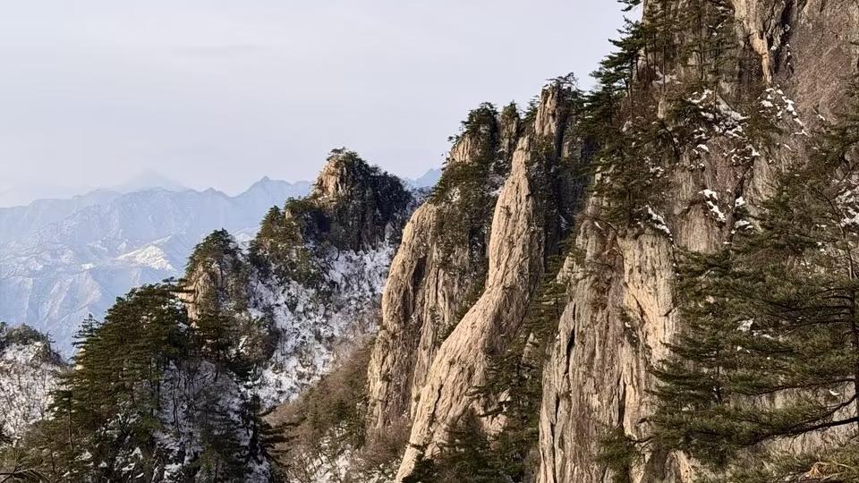 最新出炉的句子看完不笑厉害