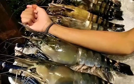 越南罗氏虾泛滥成灾，我国吃货为啥坚决不吃？网友：当我们傻吗？