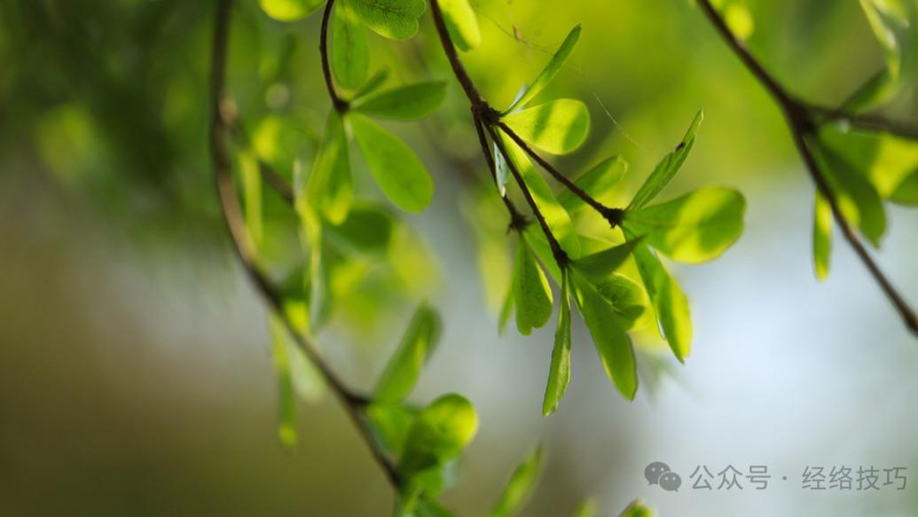 你是气虚，还是气堵，捏捏这里，大致就知道了