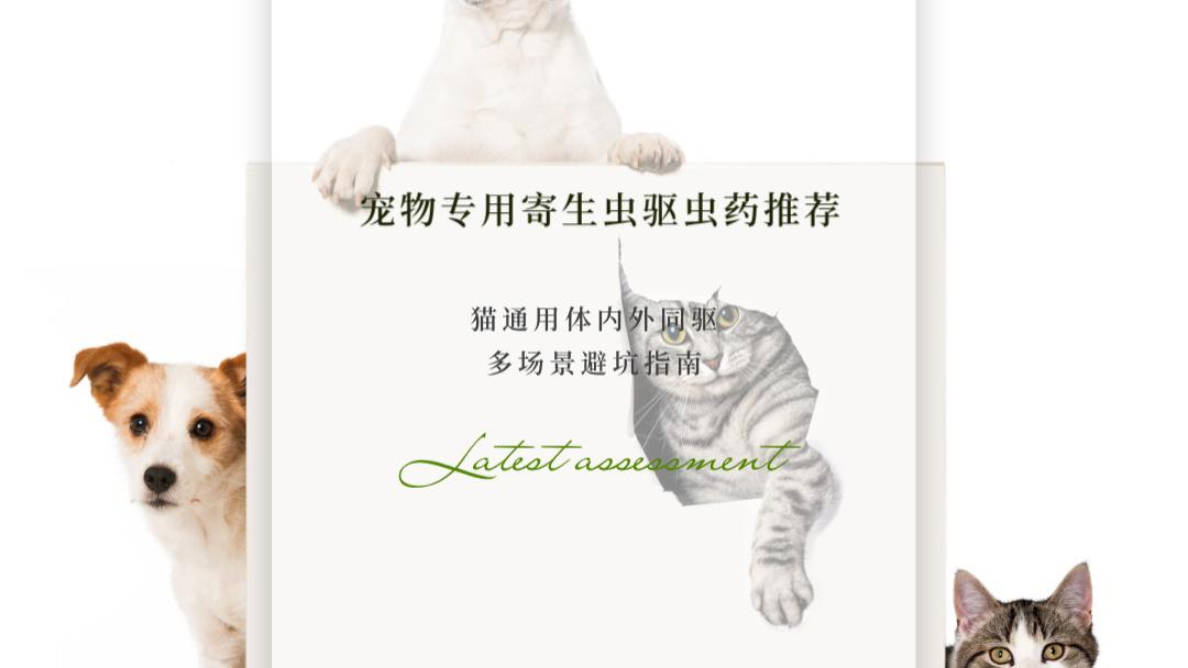 2025年5月权威实测更新|聚焦宠物专用寄生虫驱虫药推荐 犬猫通用体内外同驱多场景避坑指南