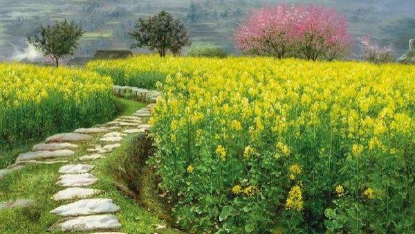 我说“春夏秋冬”美