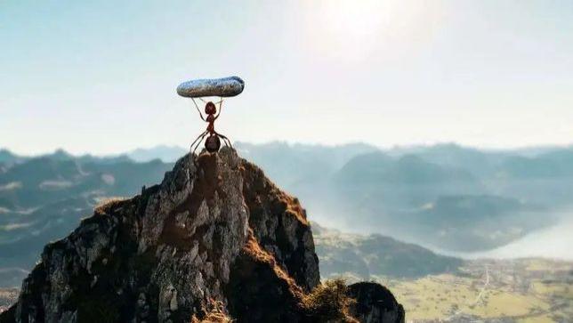 老实人，如果具备这4种手段，会比小人、恶人更强大