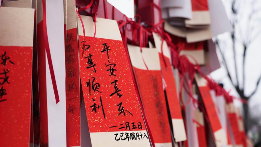 春运开电车回家，还会被“堵”在充电站吗？