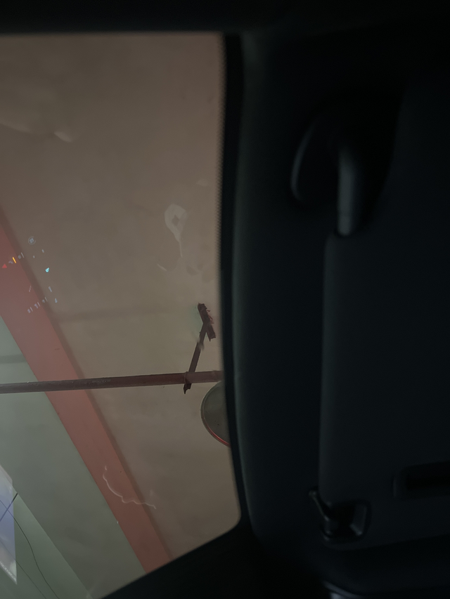 车里不知道哪来个蜘蛛
开车的时候往上一瓢吓我一跳，差点追尾，赶紧开ACC，然后抽