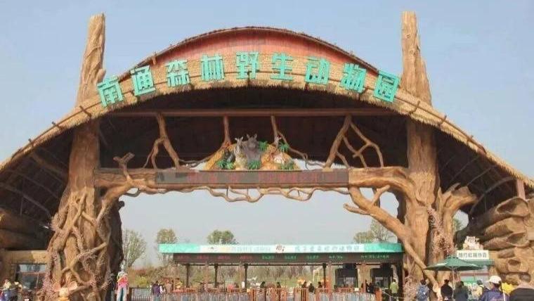 三六六社会实践・南通森林野生动物园一日研学 | 赴自然之约，探动物奥秘