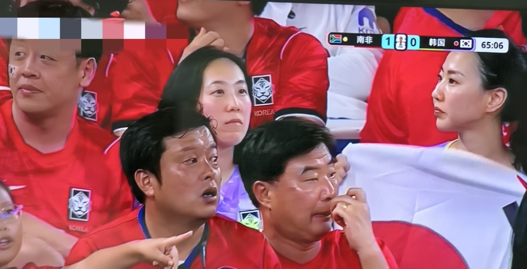 韩国队的球迷简直是呆若木鸡！不是因为韩国在第63分钟失球，0:1落后南非，而是韩