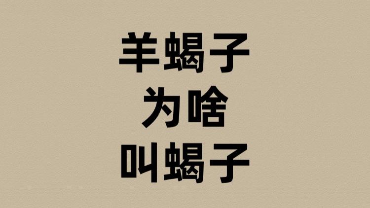 羊蝎子为啥叫蝎子？