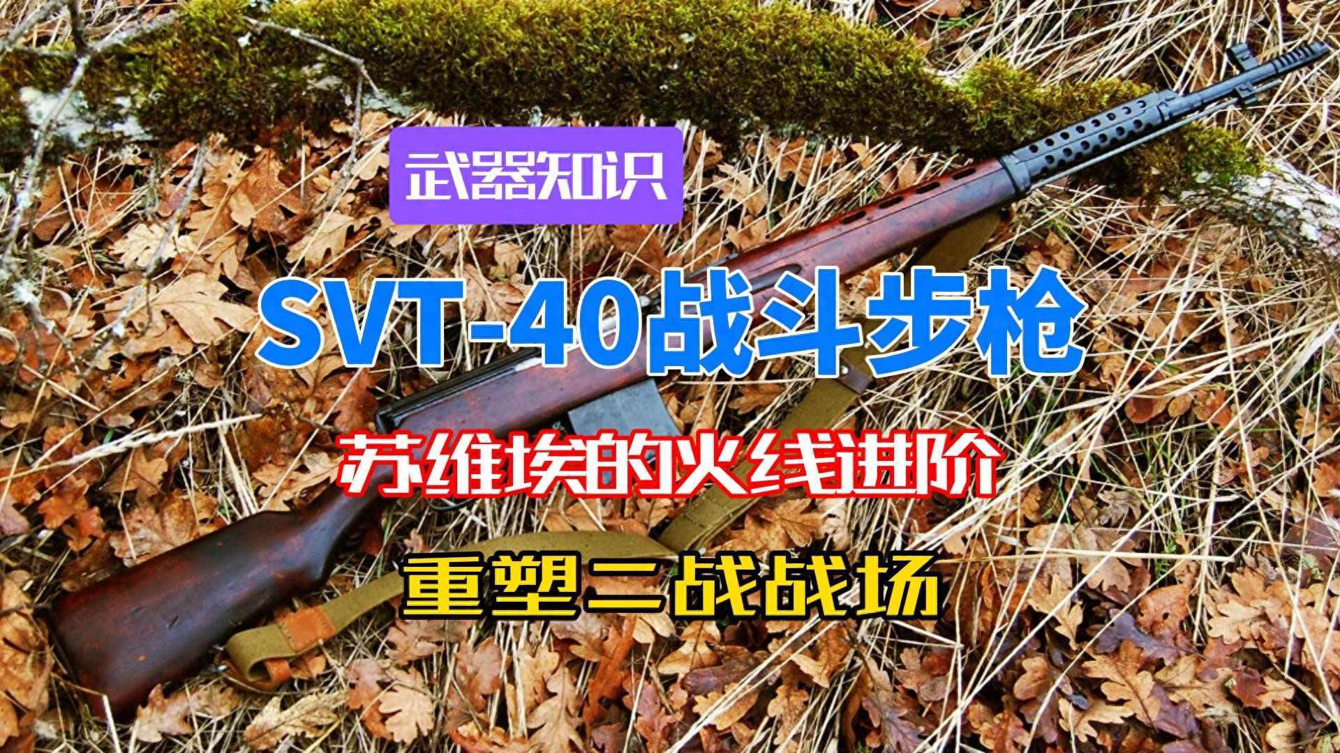 苏维埃的火线进阶 SVT40战斗步枪 以精密构造与强大火力重塑战场