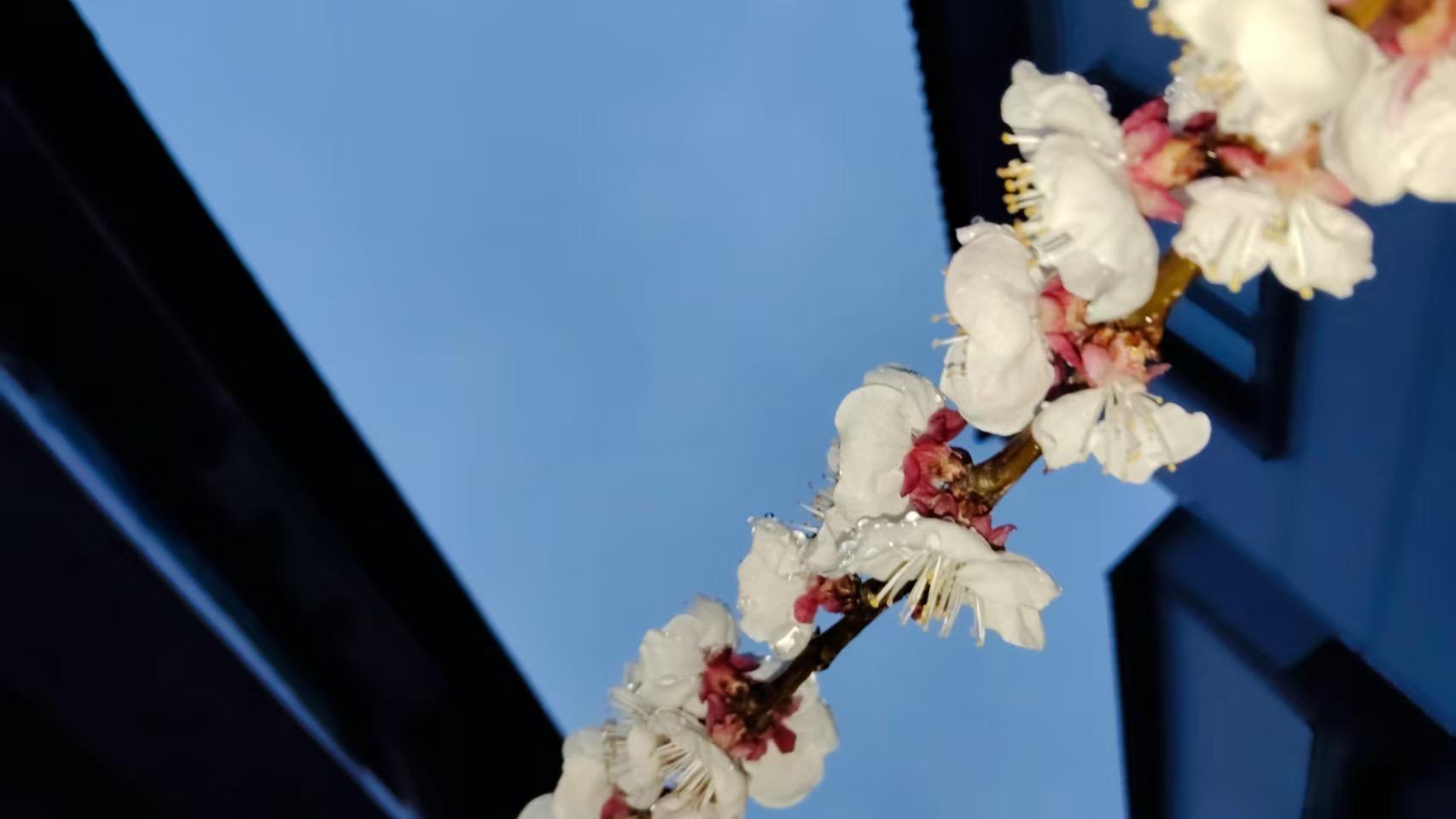 最经典的金玉良言令人相见恨晚