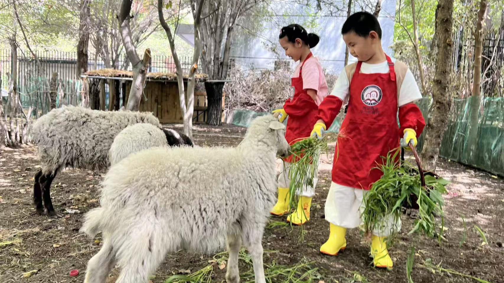 “别焦虑！孩子持续哭闹，家长淡定应对有妙招！”