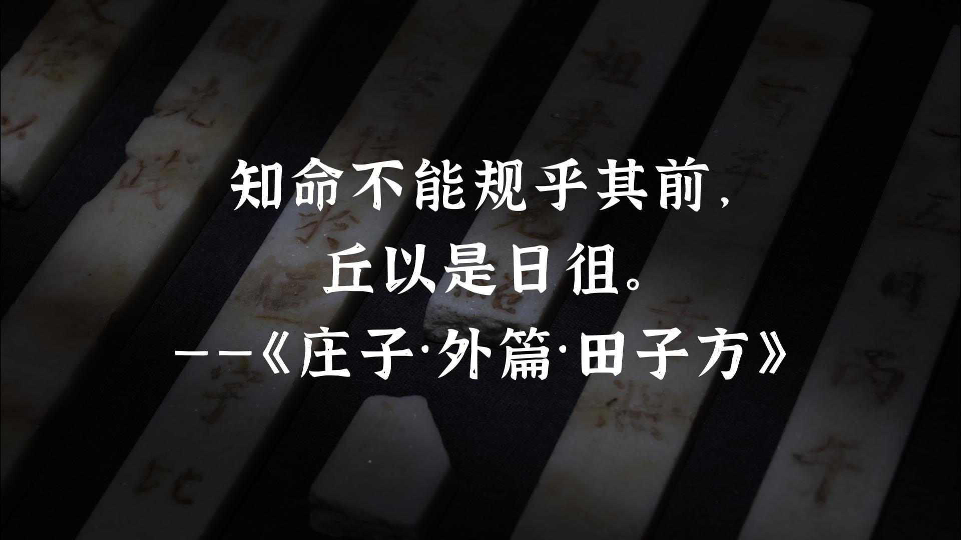 与天机共舞者