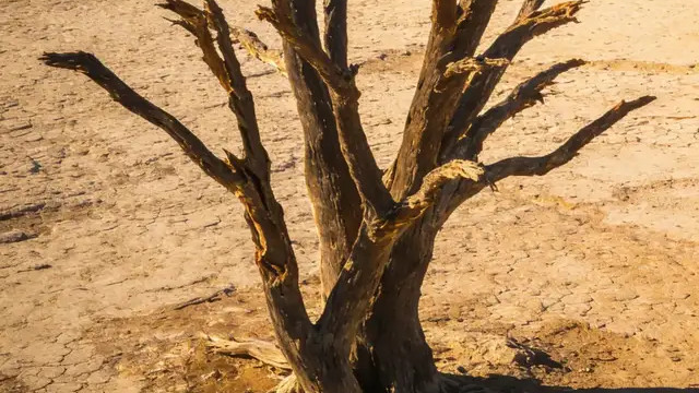 人活多久，看双脚就知道？寿命长的人，双脚往往有这4个特征