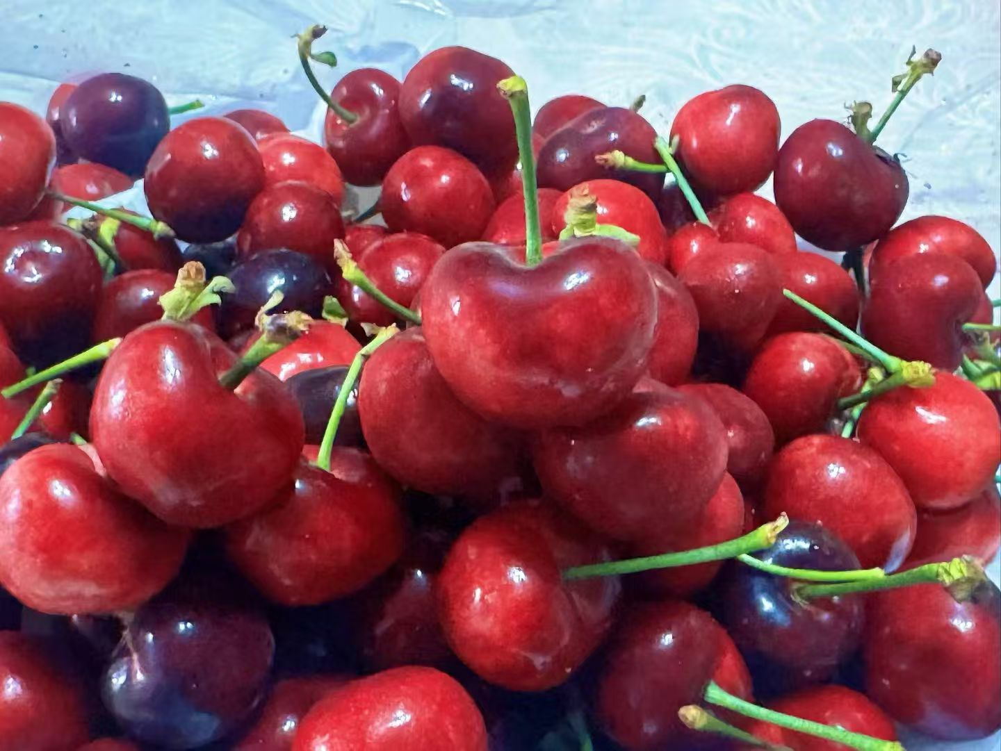大连樱桃🍒封神攻略！